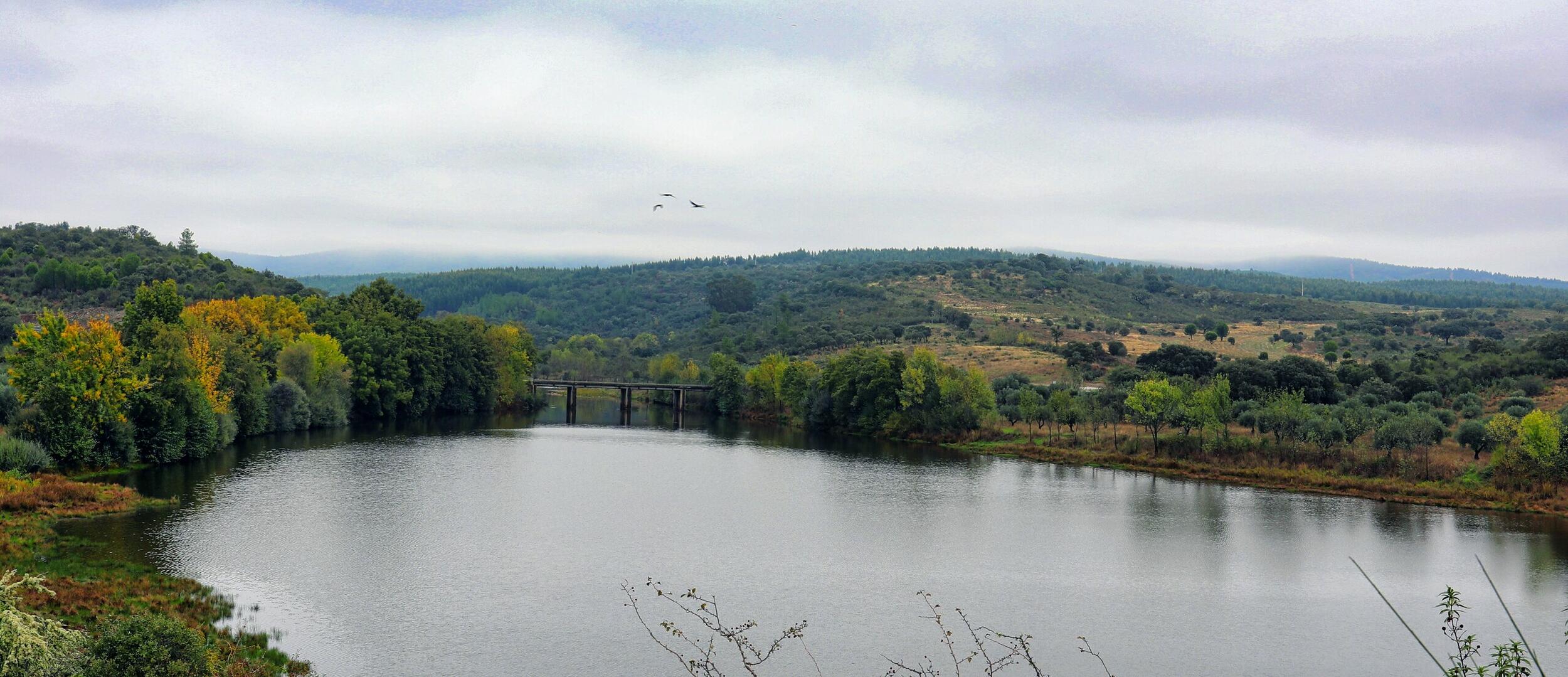 Bas&aacute;gueda
