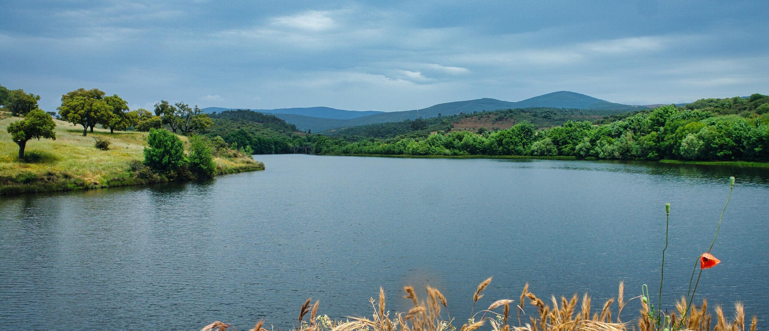 Bas&aacute;gueda