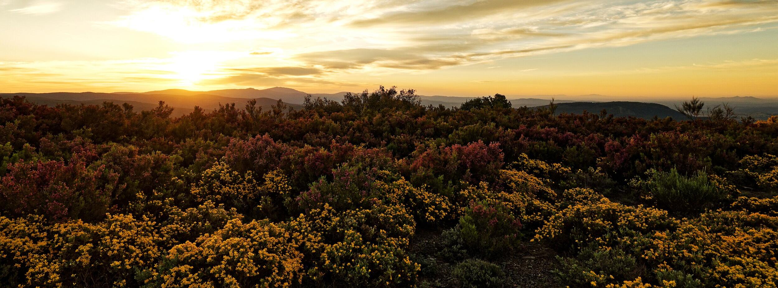 Serra da Malcata